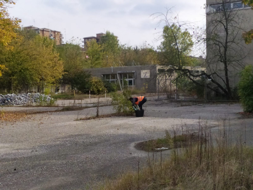 Piscina a Valenza: progetto all'esame del Comune